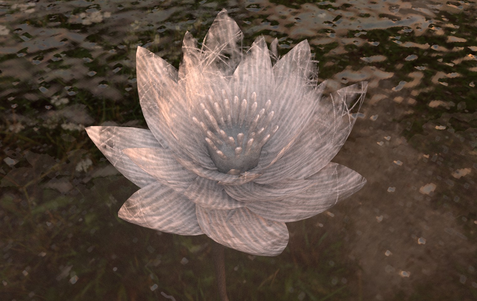 As the lilies bloom – experimental VR project